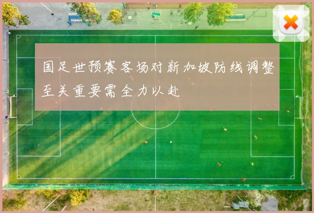 国足世预赛客场对新加坡防线调整至关重要需全力以赴